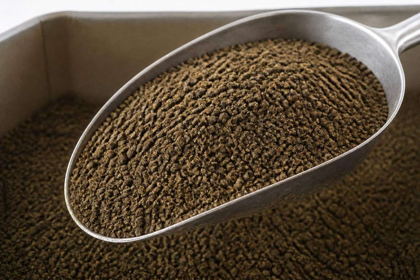 Russian rapeseed meal